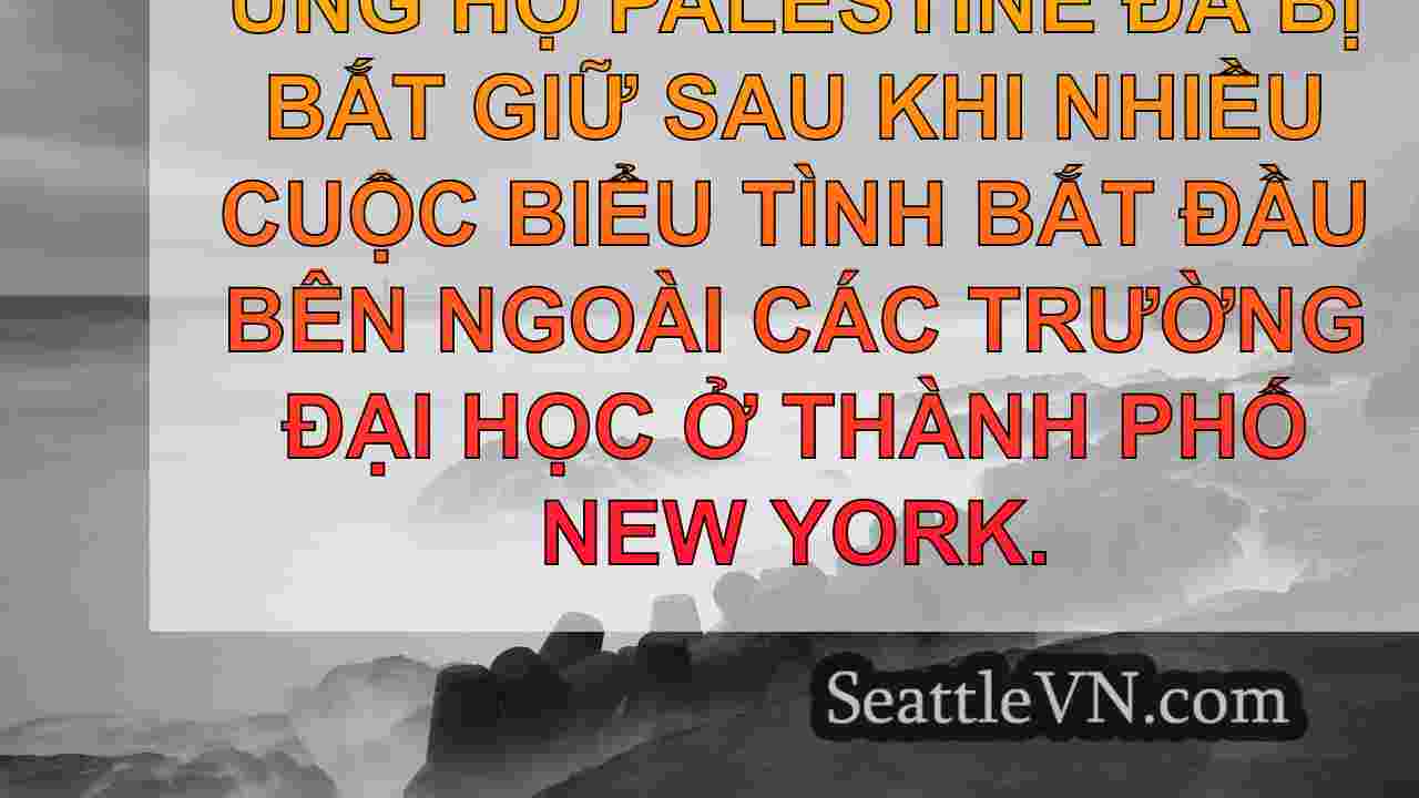tin tức seattle SeattleVN