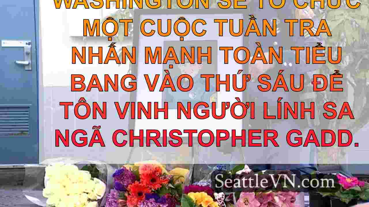tin tức seattle SeattleVN