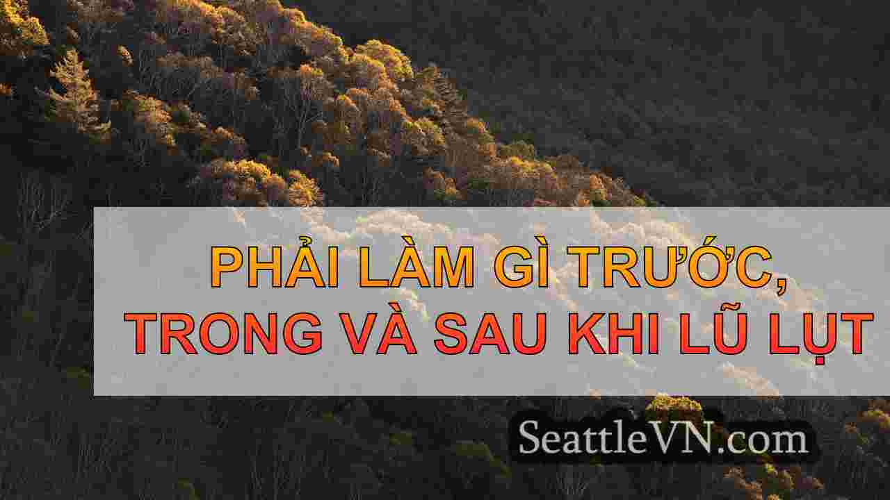 tin tức seattle SeattleVN