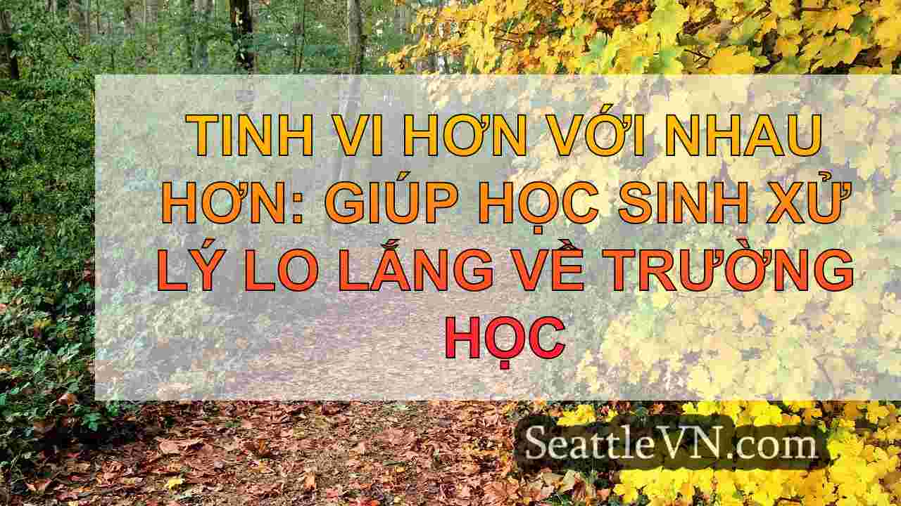 Tinh vi hơn với nhau hơn: Giúp học sinh