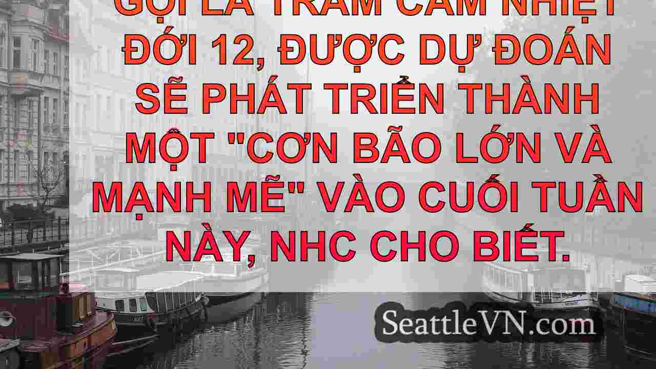 tin tức seattle SeattleVN