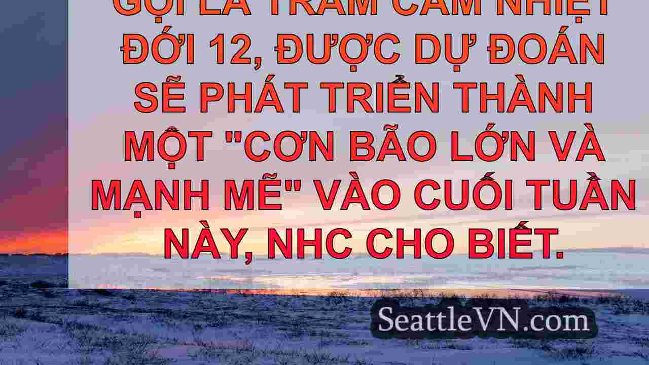 tin tức seattle SeattleVN