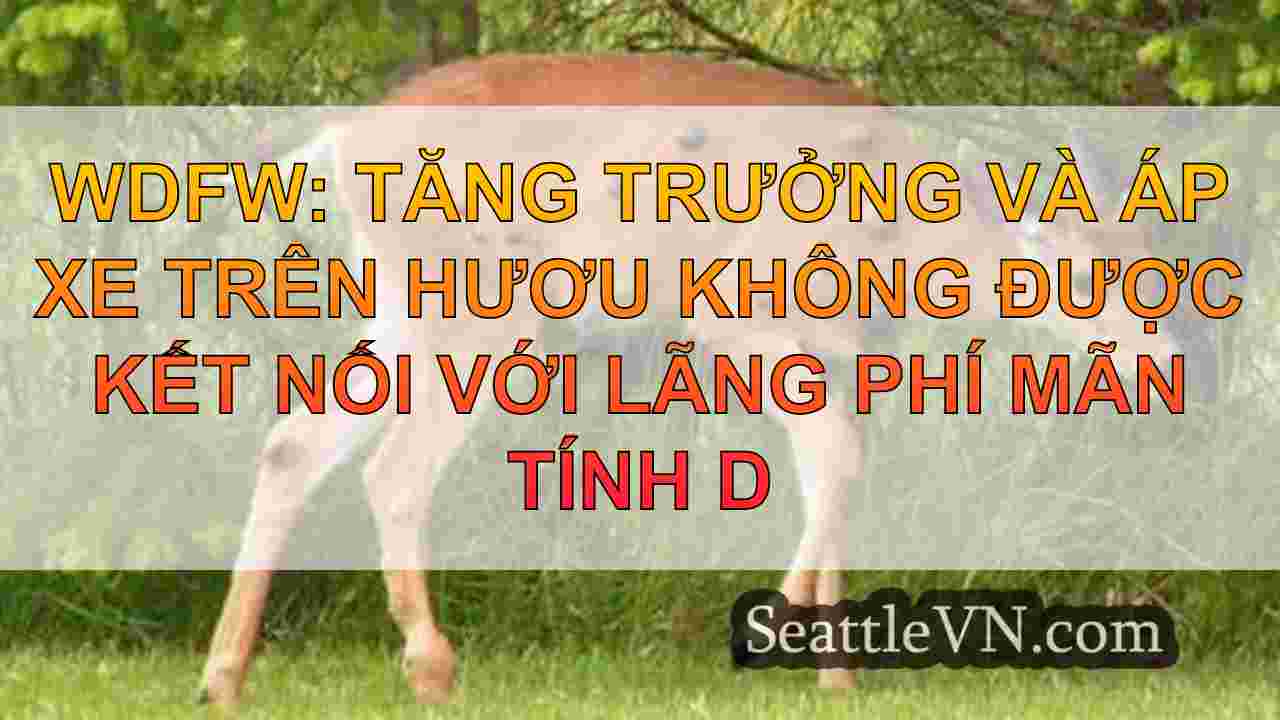 WDFW: Tăng trưởng và áp xe trên hươu