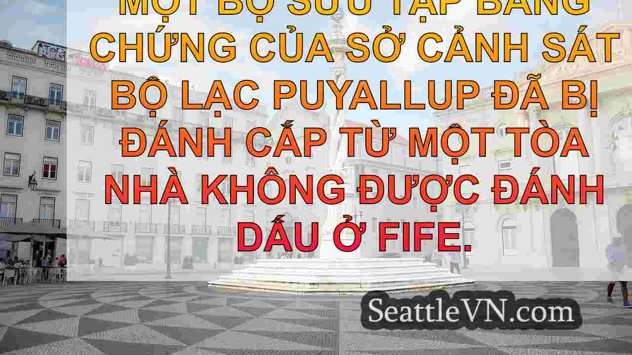 tin tức seattle SeattleVN