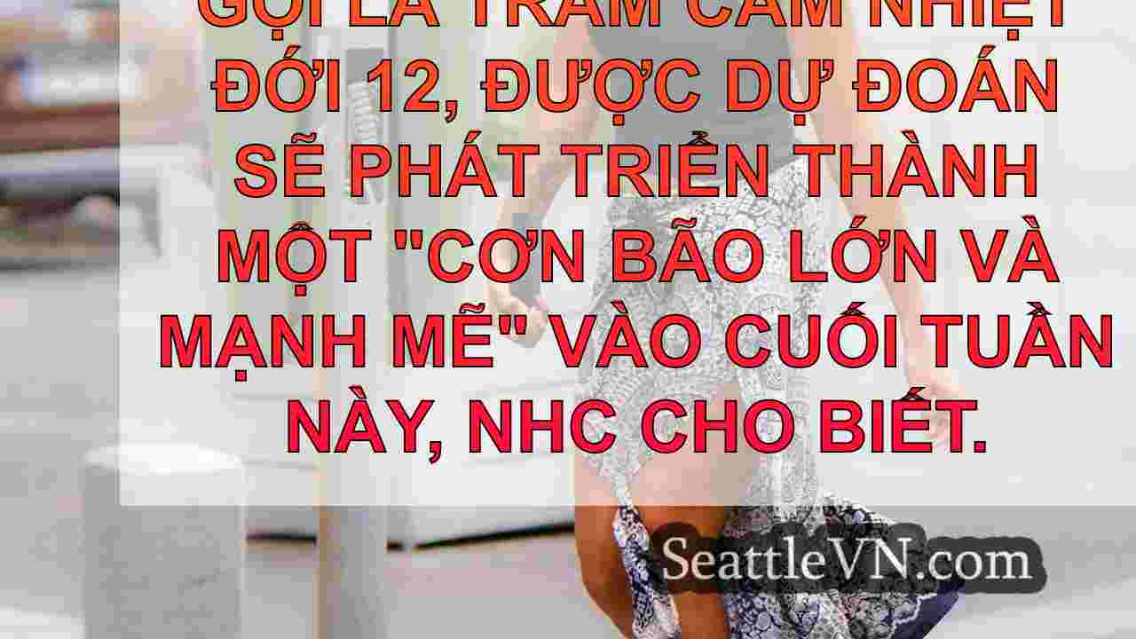tin tức seattle SeattleVN