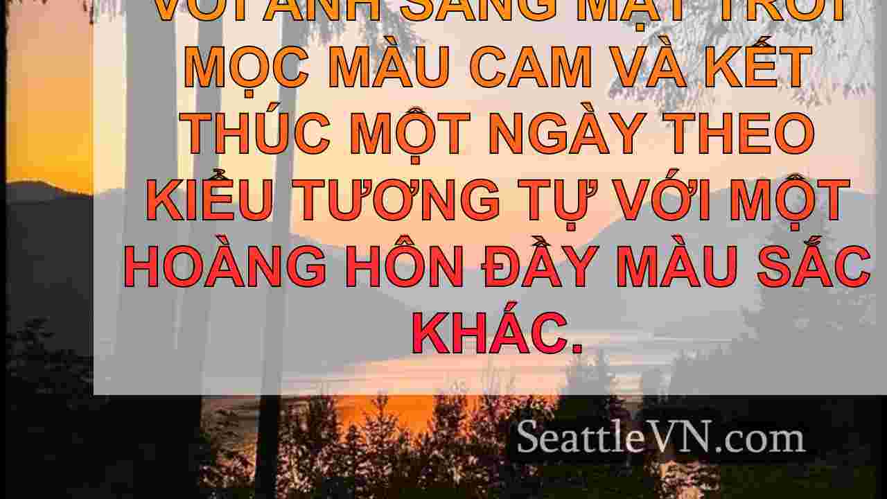 tin tức seattle SeattleVN