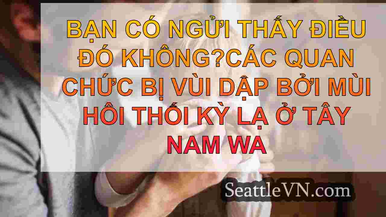 Bạn có ngửi thấy điều đó không?Các quan