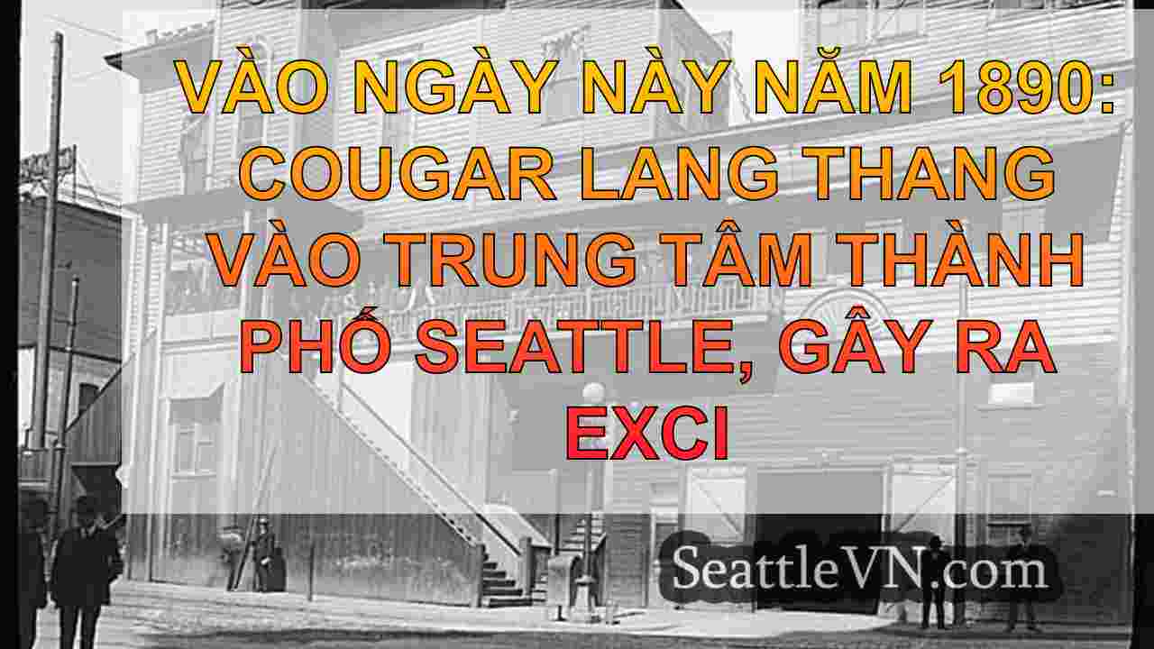 Vào ngày này năm 1890: Cougar lang