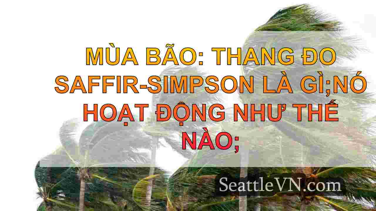 Mùa bão: Thang đo Saffir-Simpson là