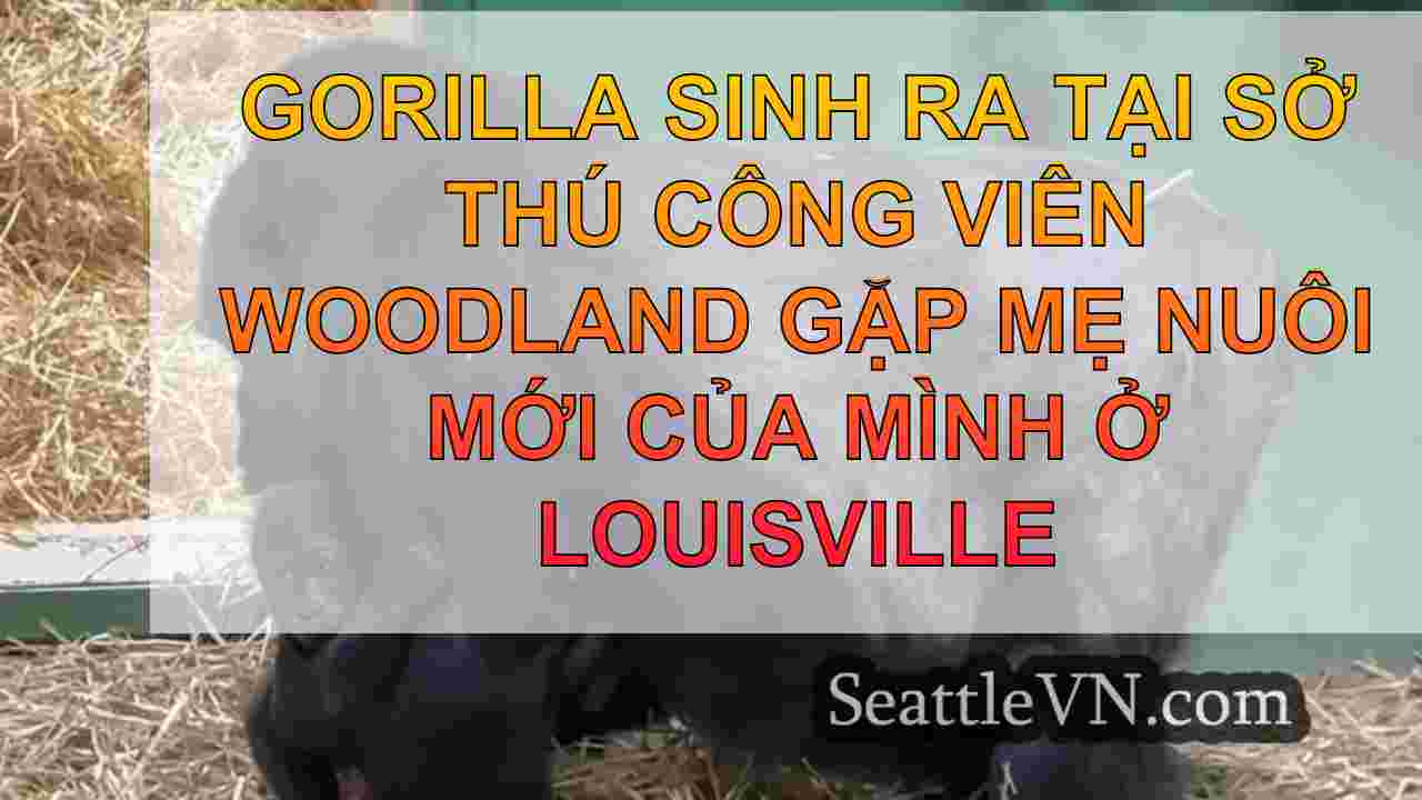 Gorilla sinh ra tại Sở thú Công viên