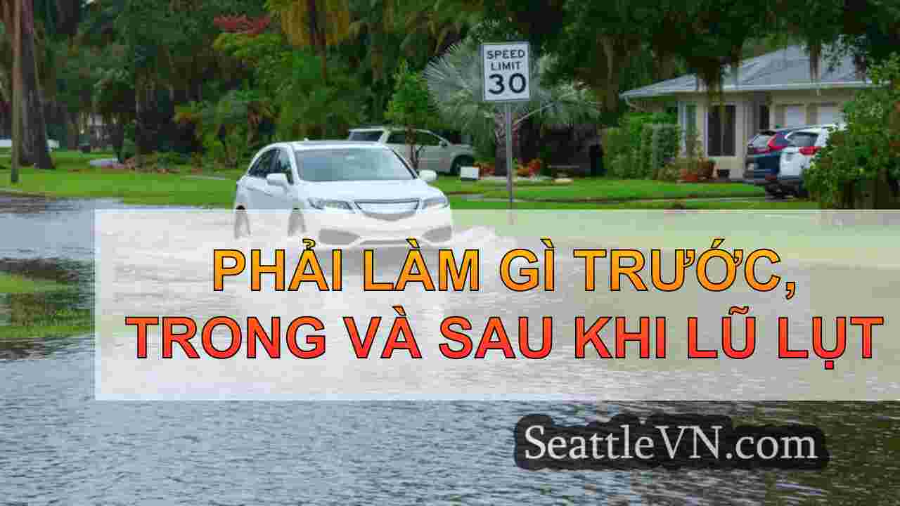 Phải làm gì trước, trong và sau khi lũ