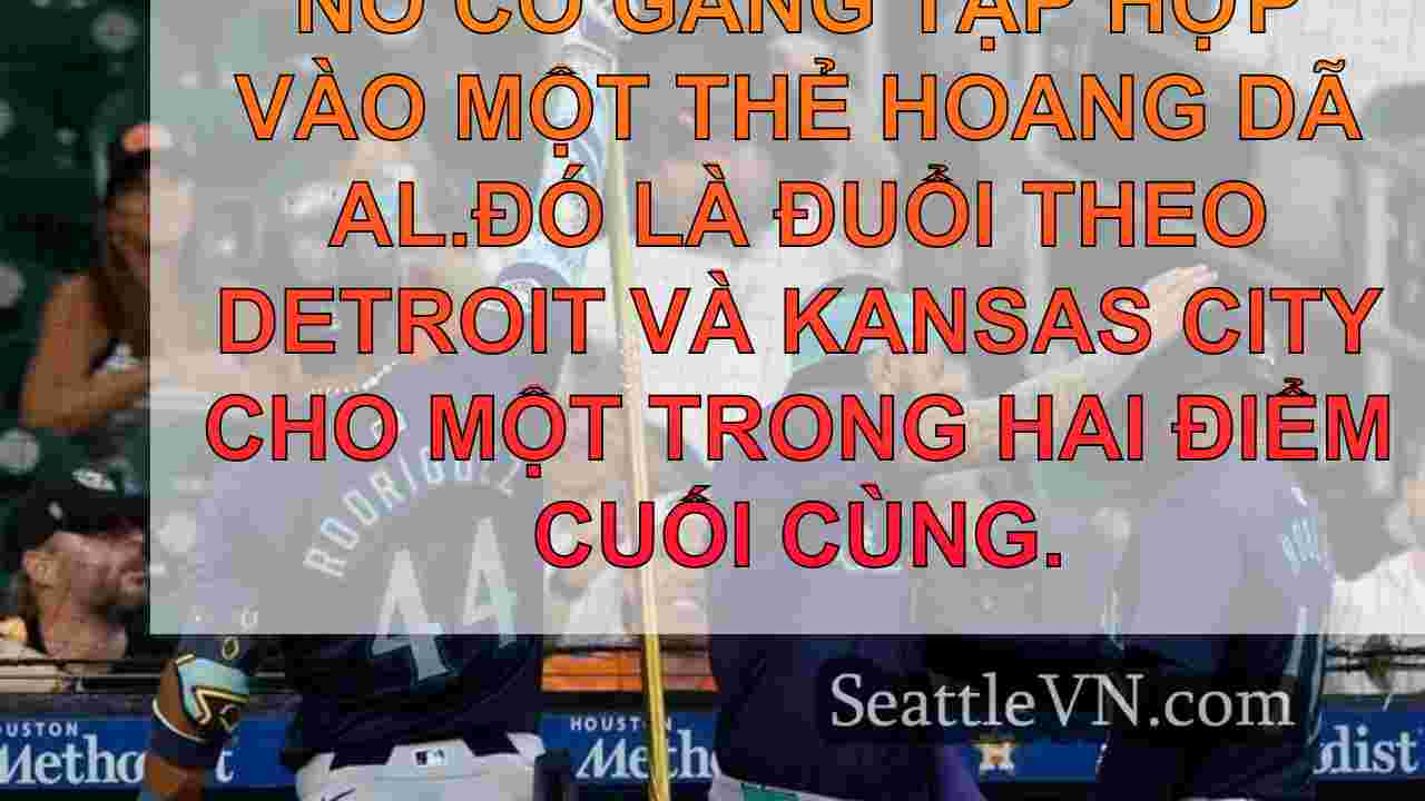tin tức seattle SeattleVN