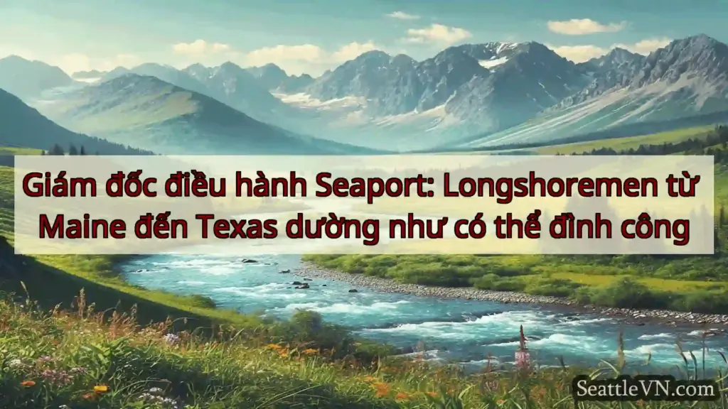 tin tức seattle Giám đốc điều hành Seaport: