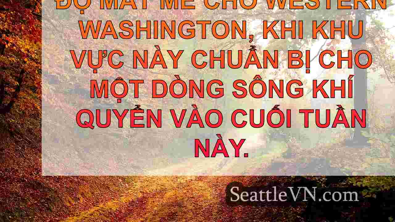 tin tức seattle SeattleVN