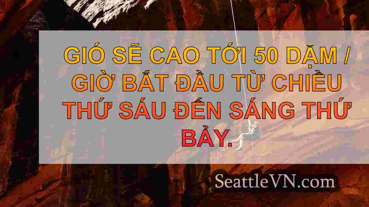 tin tức seattle SeattleVN