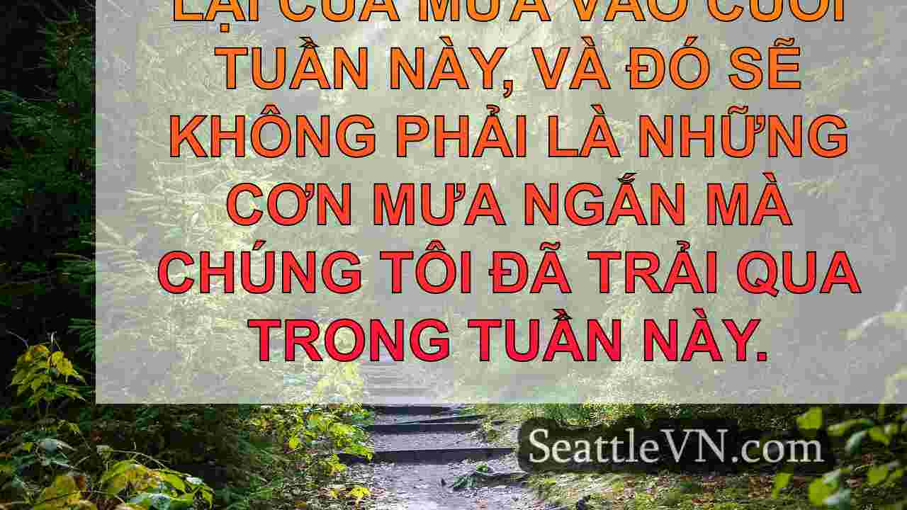 tin tức seattle SeattleVN