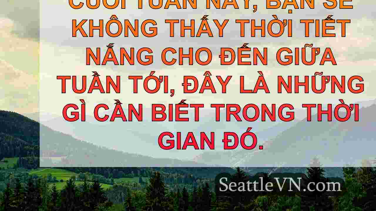 tin tức seattle SeattleVN