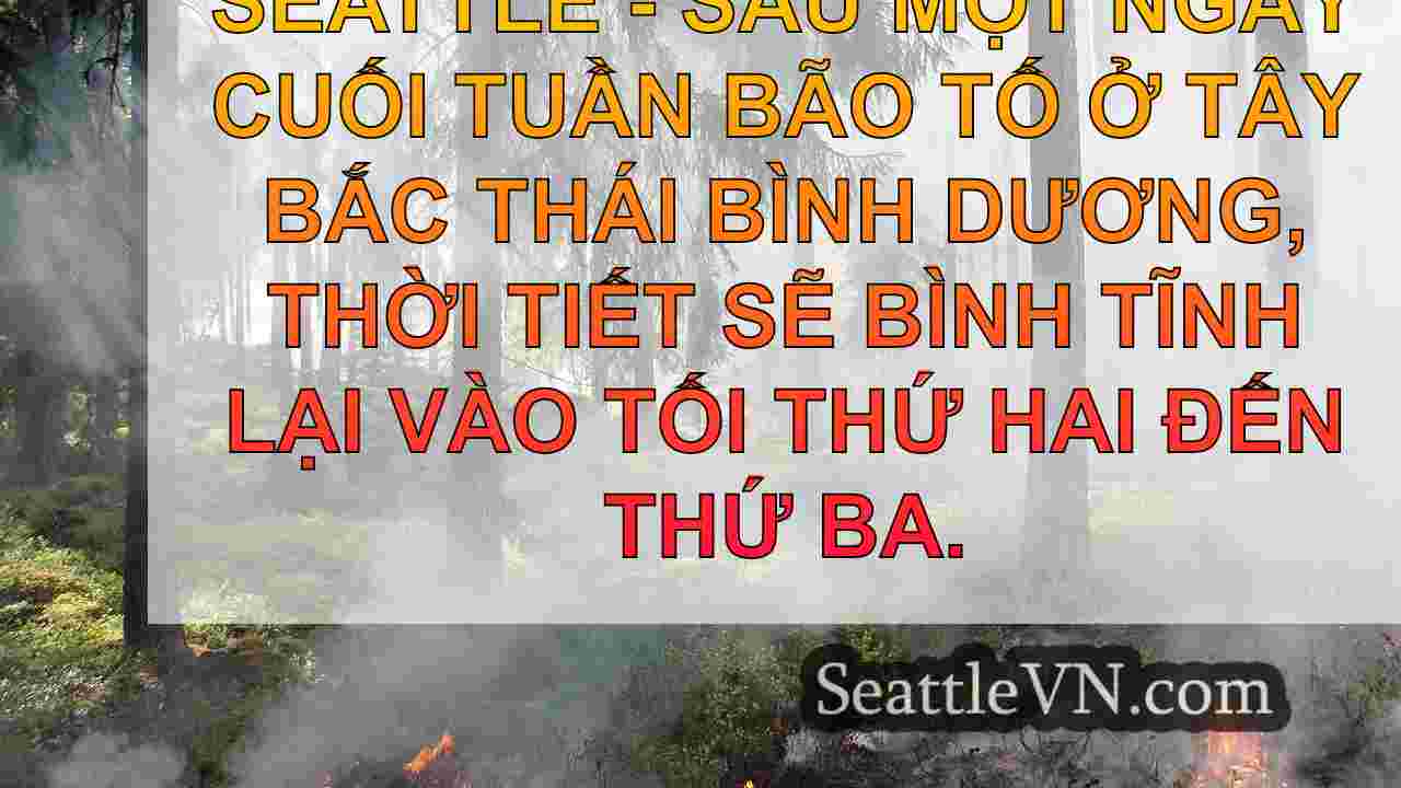 tin tức seattle SeattleVN
