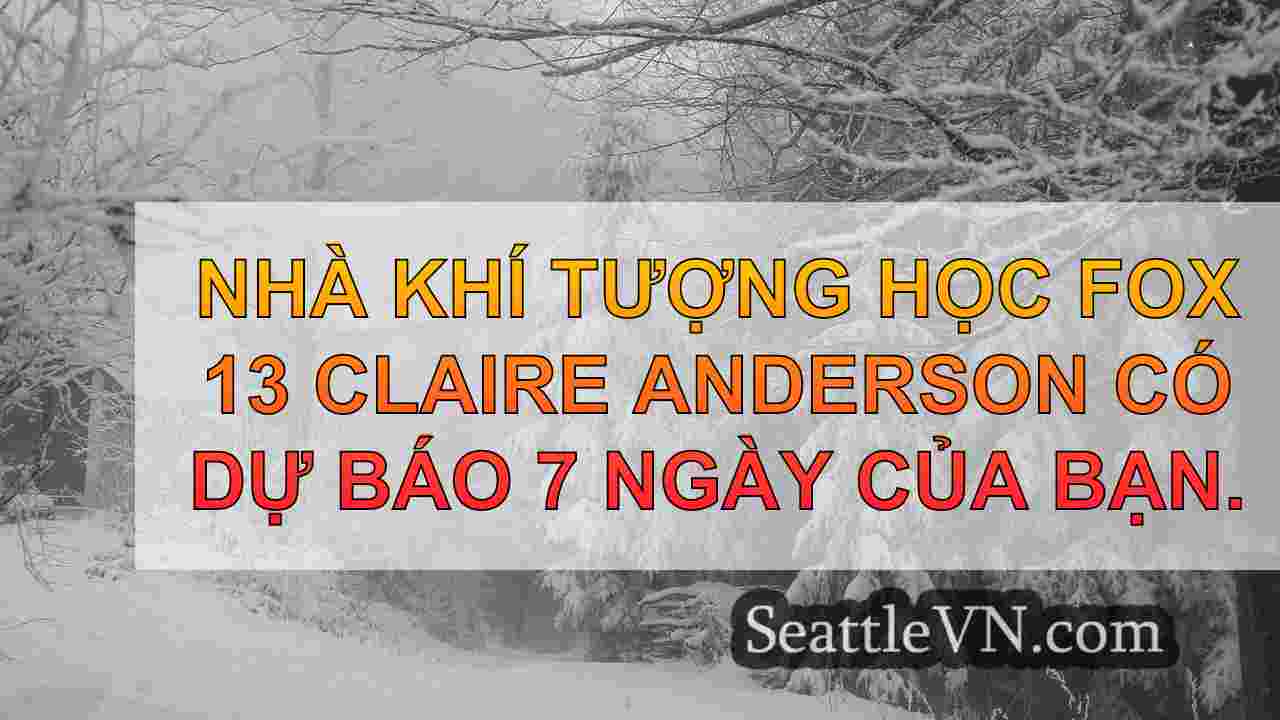 Seattle Weather: Gió, mưa và núi tuyết