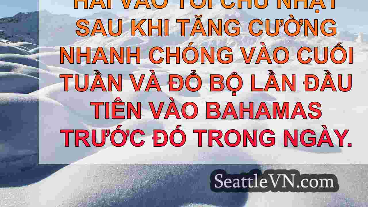 tin tức seattle SeattleVN