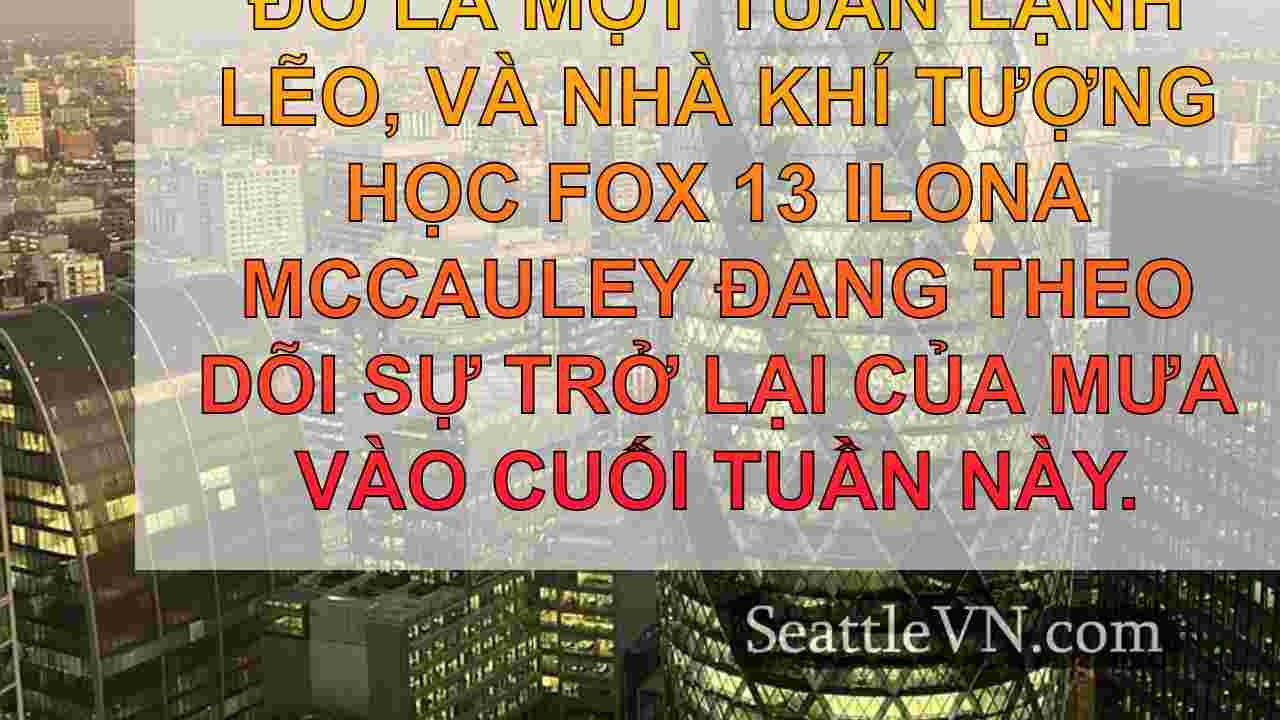 tin tức seattle SeattleVN