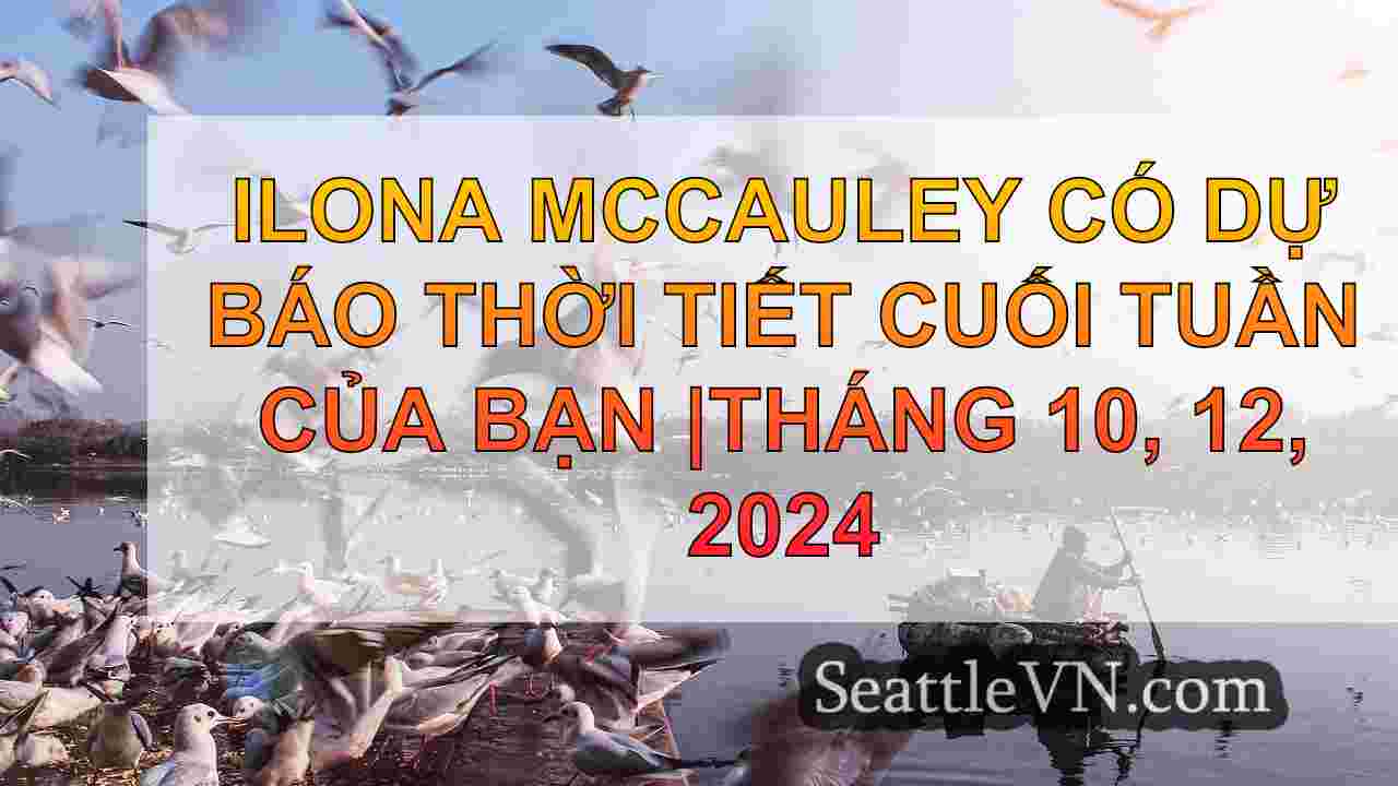 tin tức seattle SeattleVN