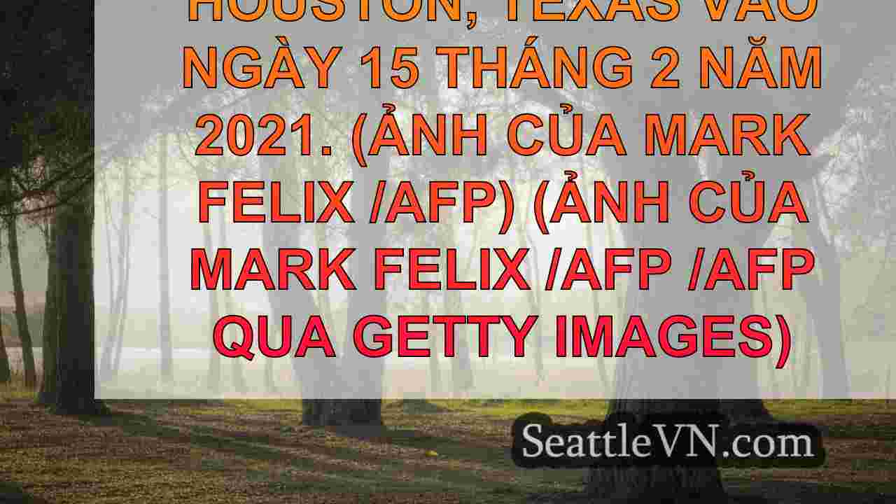tin tức seattle SeattleVN