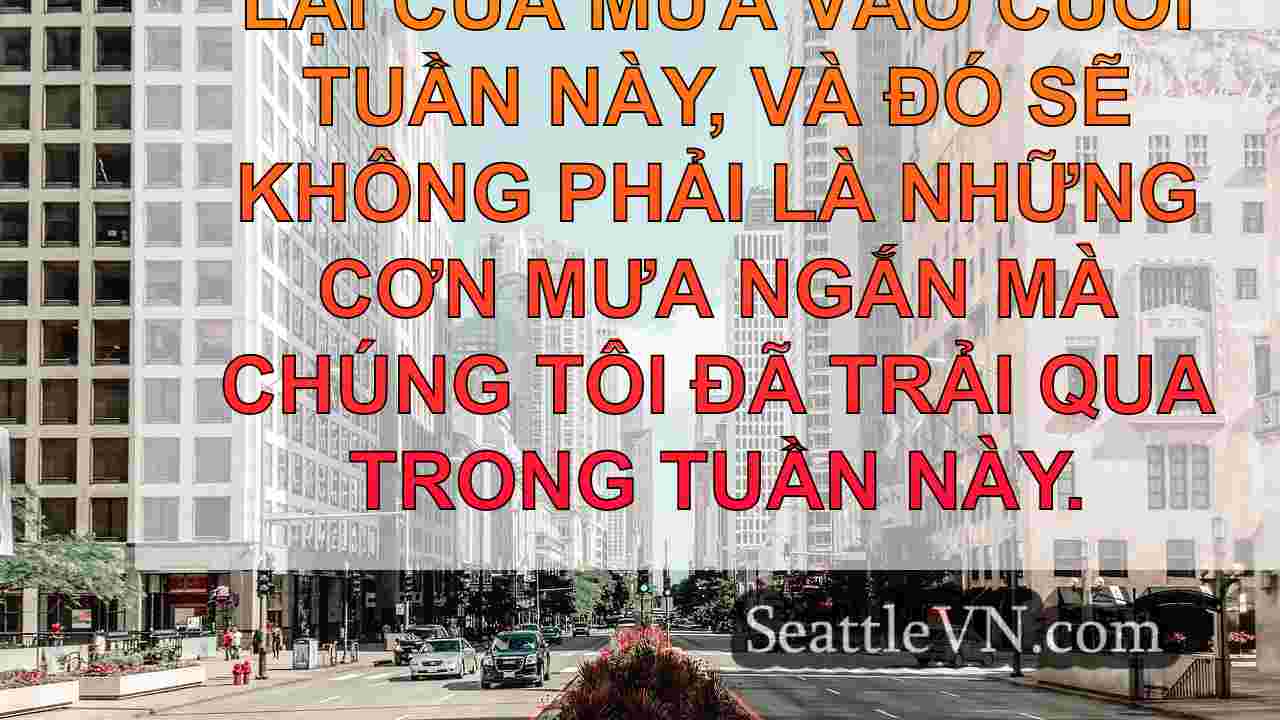 tin tức seattle SeattleVN