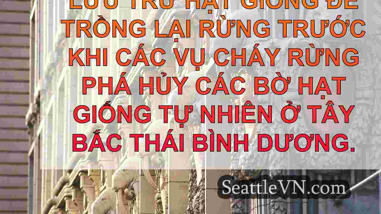 tin tức seattle SeattleVN