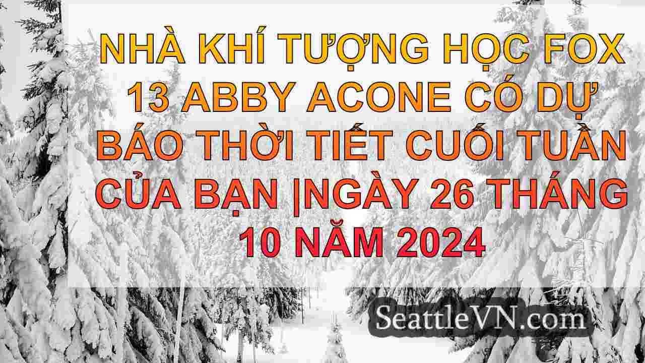 tin tức seattle SeattleVN