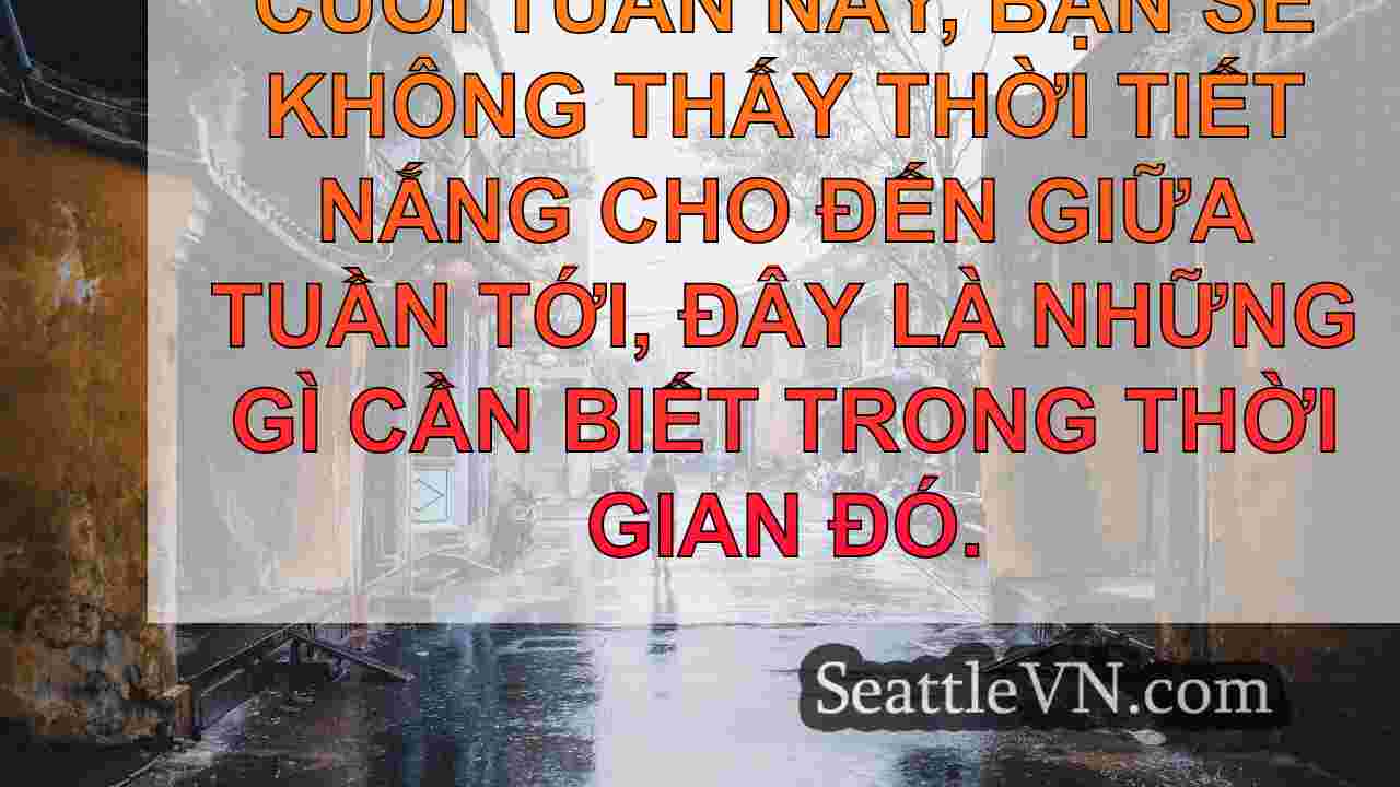 tin tức seattle SeattleVN