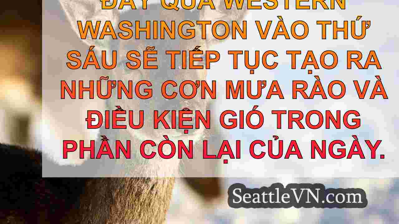 tin tức seattle SeattleVN