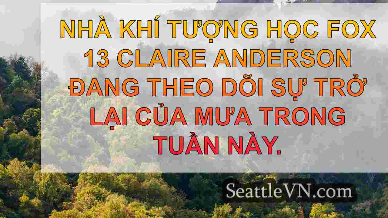 tin tức seattle SeattleVN