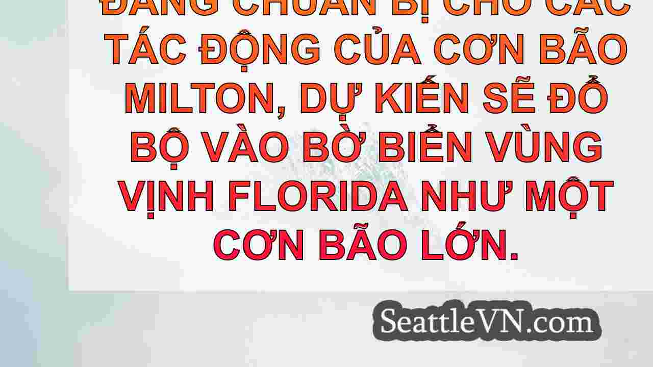 tin tức seattle SeattleVN