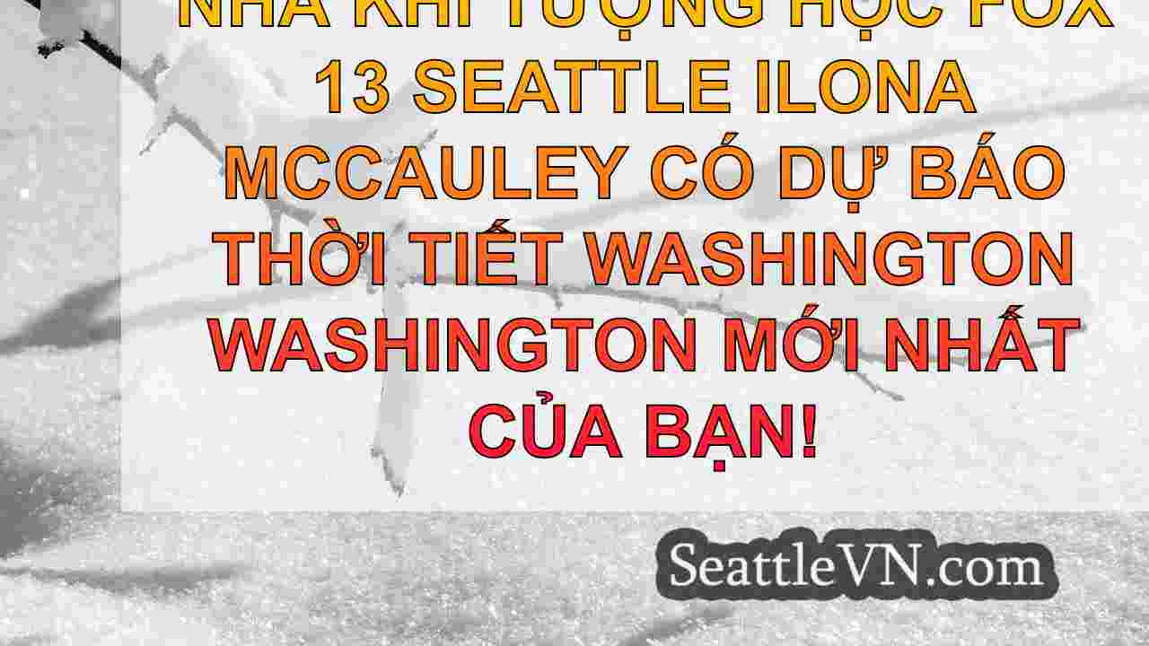 tin tức seattle SeattleVN