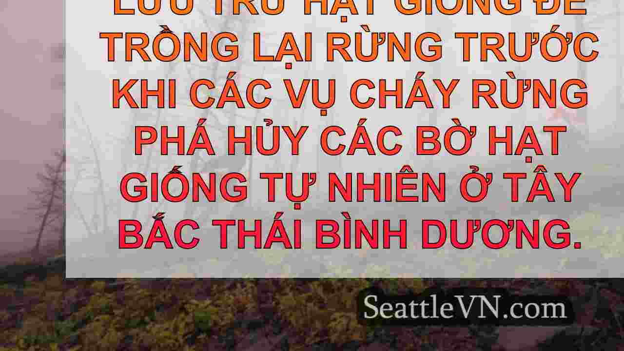 Các doanh nghiệp WA chuyển sang người