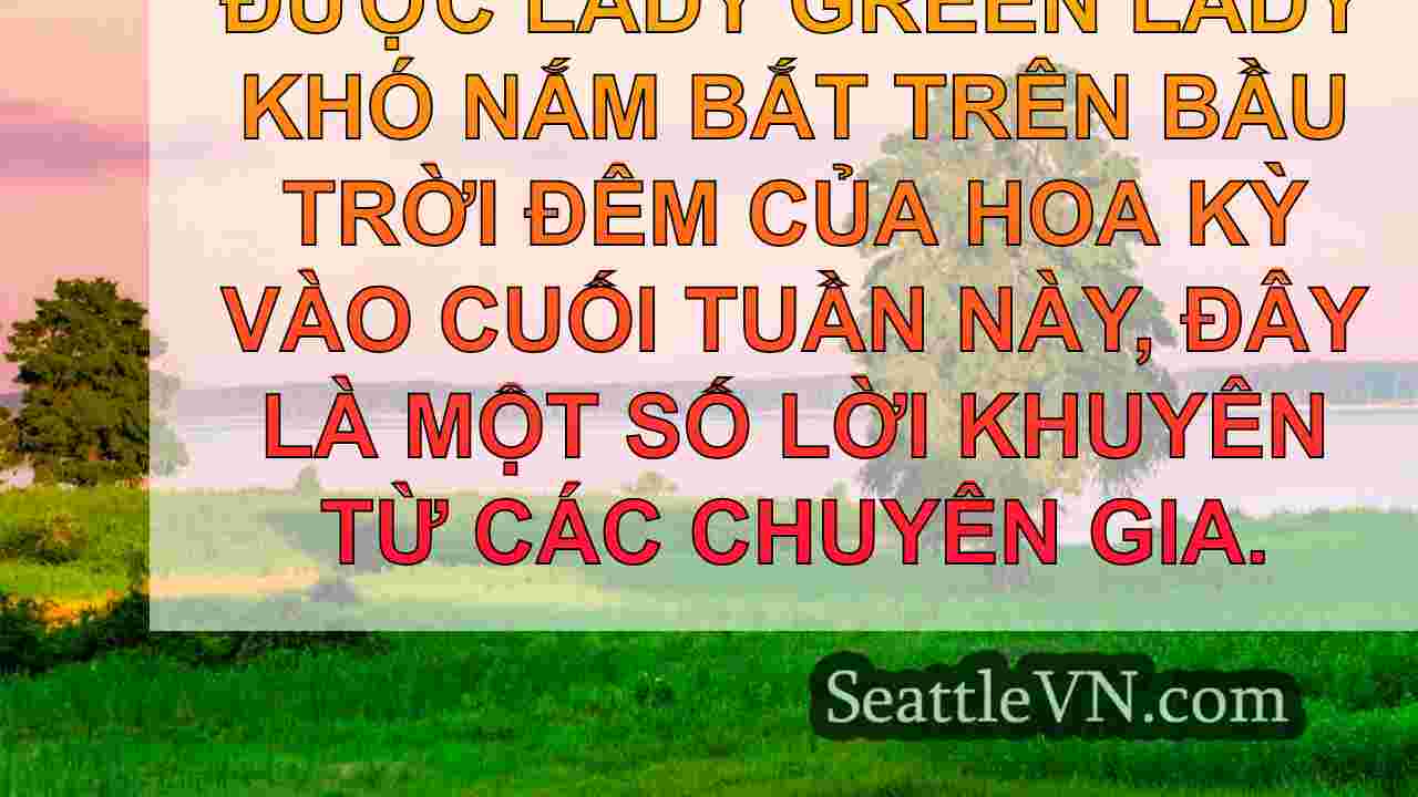 tin tức seattle SeattleVN