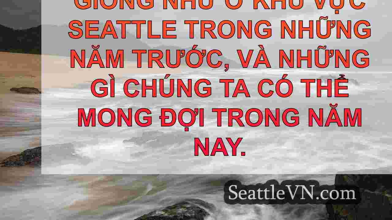tin tức seattle SeattleVN