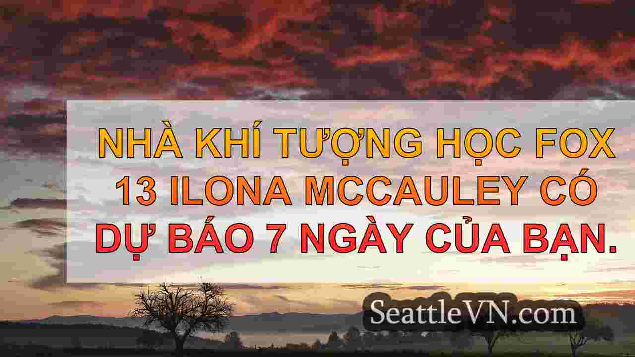 Seattle Weather: Wet and Windy bắt đầu