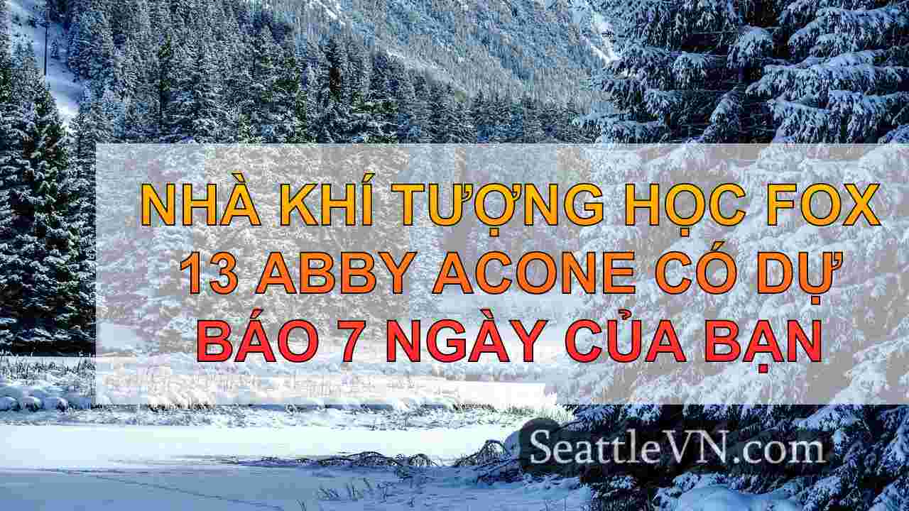 tin tức seattle SeattleVN