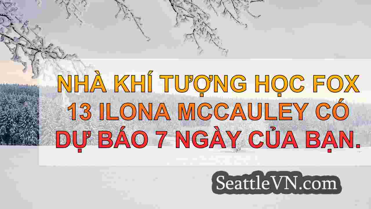 tin tức seattle SeattleVN
