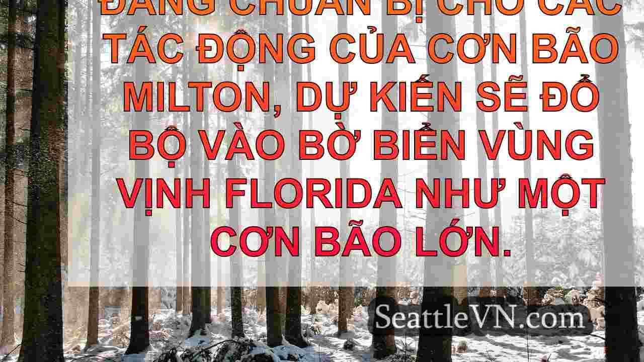 tin tức seattle SeattleVN