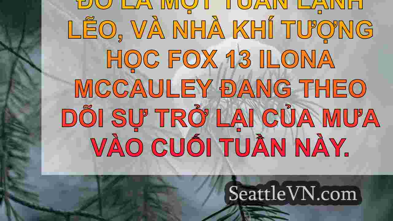 tin tức seattle SeattleVN