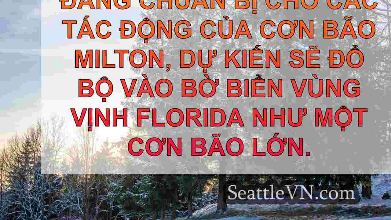 tin tức seattle SeattleVN