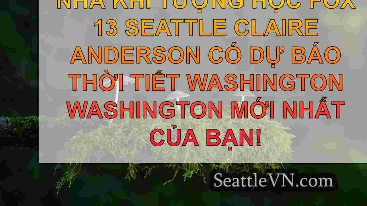 tin tức seattle SeattleVN