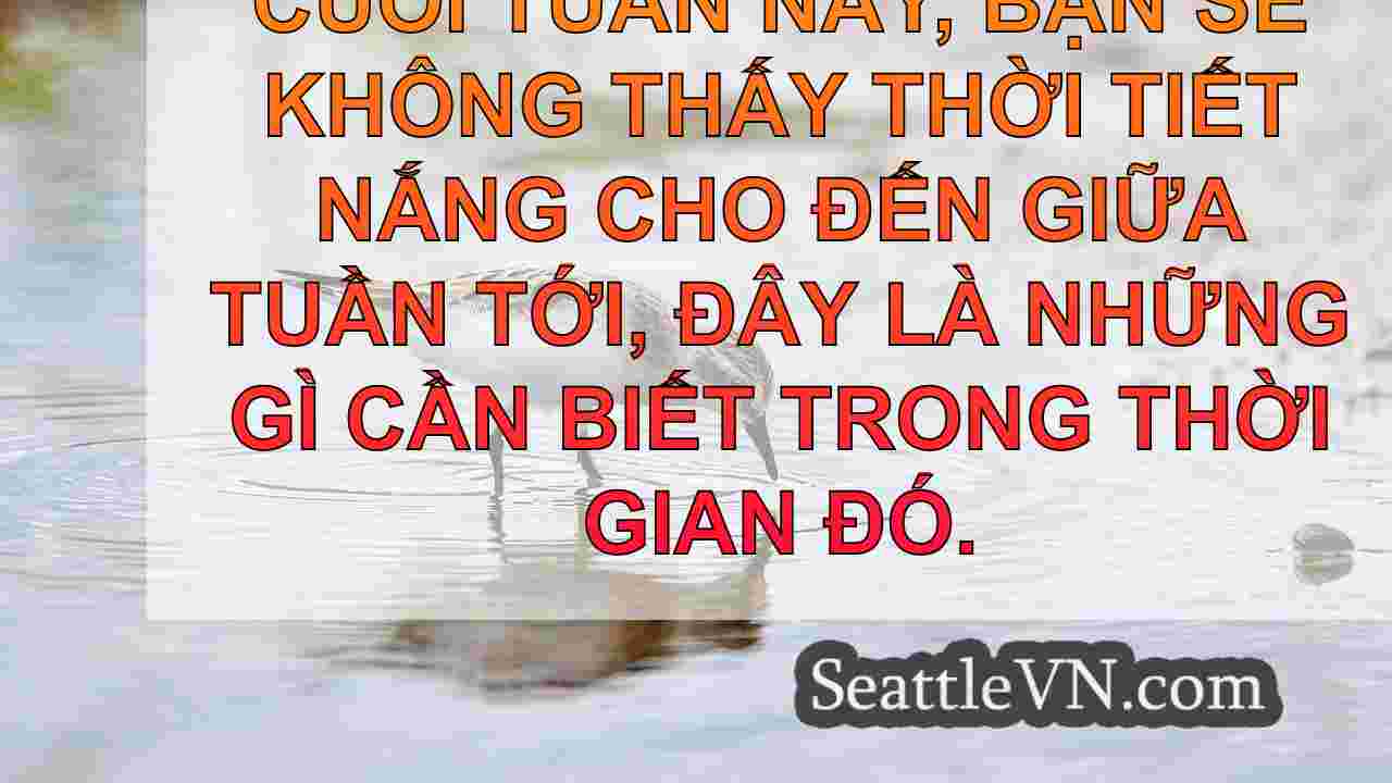Mất điện WA WA xuất hiện khi dòng sông