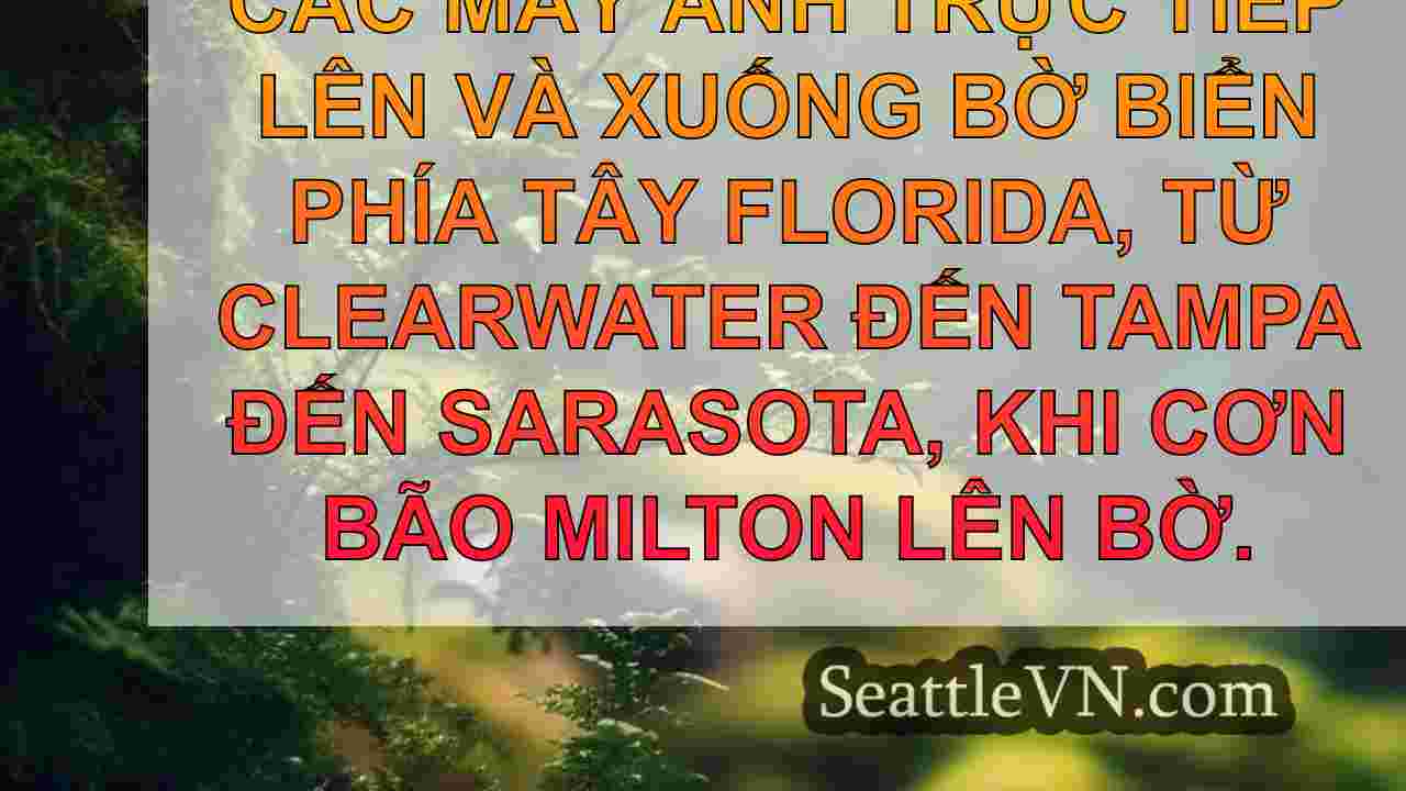 tin tức seattle SeattleVN