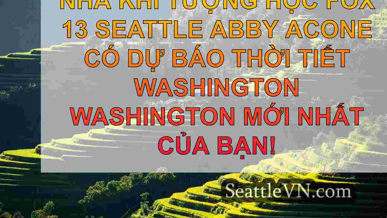 tin tức seattle SeattleVN