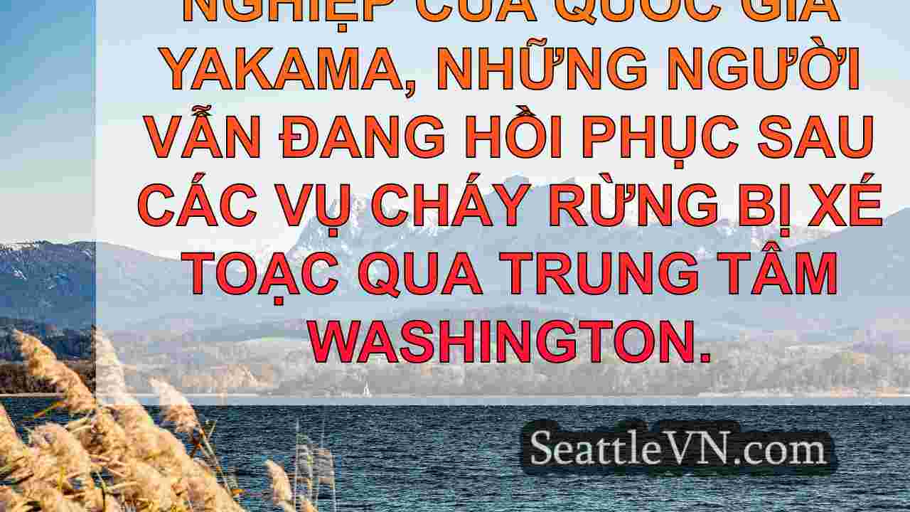IRS phát hành giảm thuế cho quốc gia