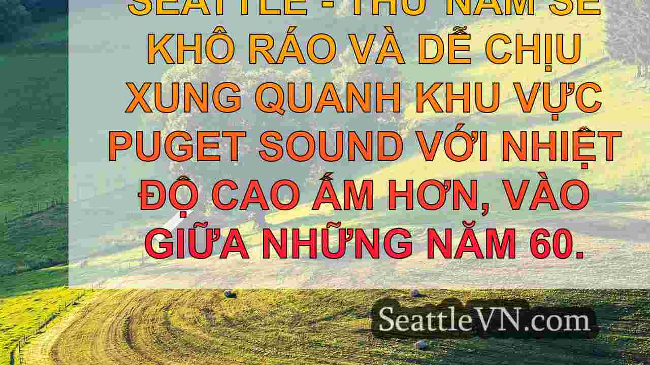 tin tức seattle SeattleVN
